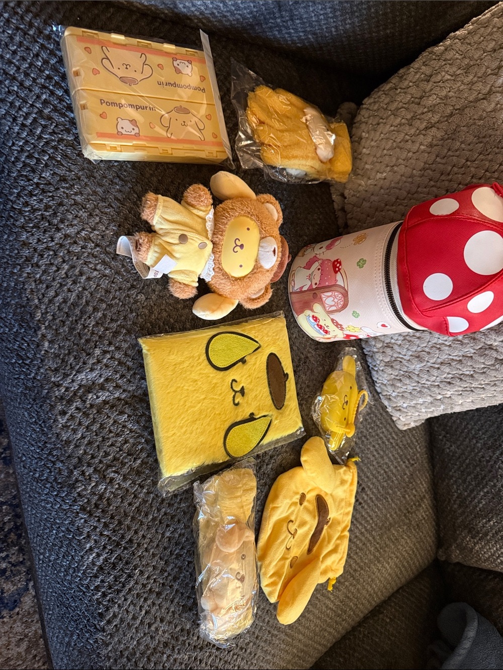 Sanrio Pompompurin Accessory Bundle
